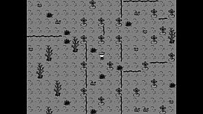 Monster Capture King