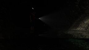 Creatures of the Night