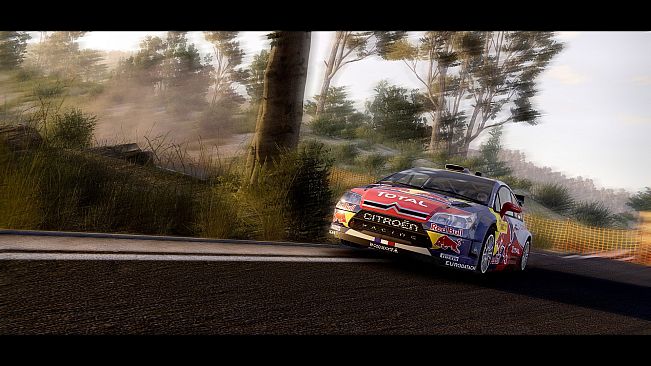 Citroën C4 WRC (2010)