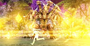 Onigiri Premium Support Pack