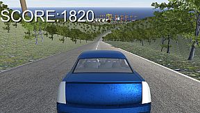 Amazing Human Simulator