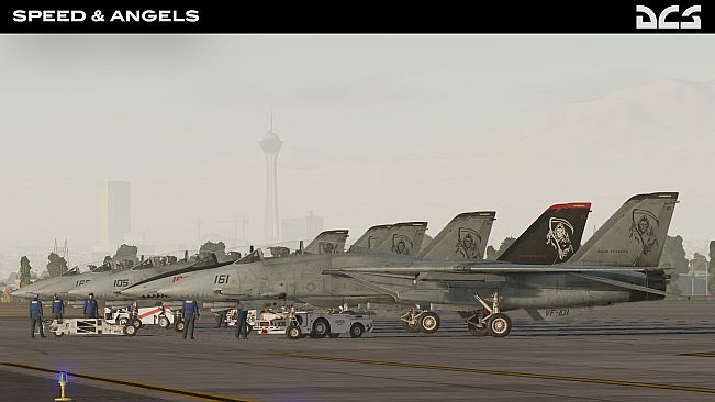 DCS: F-14B Speed and Angels Campaign