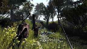 Professional Fishing