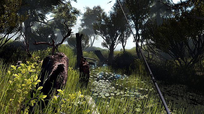 Professional Fishing