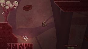 The Runaway Feijoão