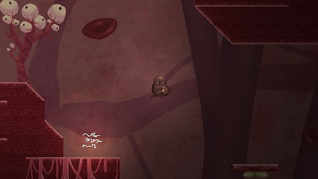 The Runaway Feijoão