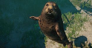 Planet Zoo: Aquatic Pack