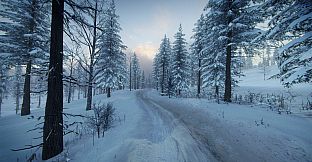 DiRT Rally 2.0 - Sweden (Rally Location)