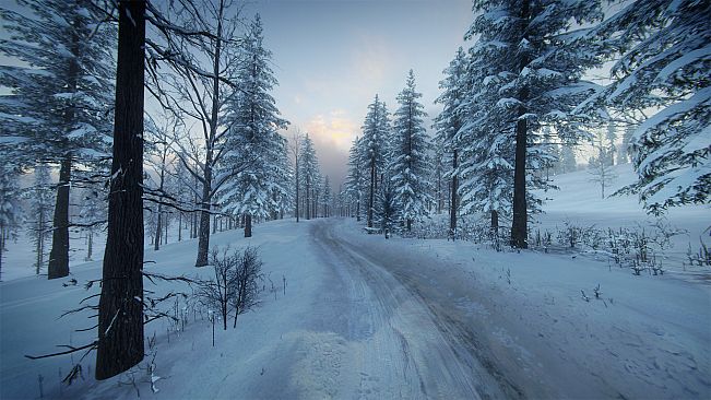 DiRT Rally 2.0 - Sweden (Rally Location)