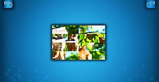 PUZZLE: CATS & DOGS - Puzzle Pack: Summer Cats