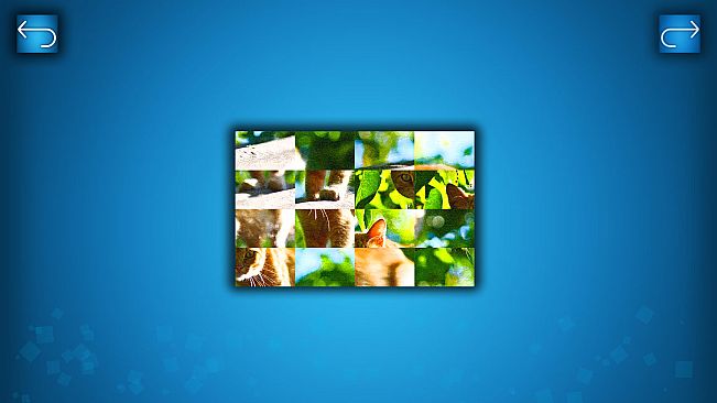 PUZZLE: CATS & DOGS - Puzzle Pack: Summer Cats