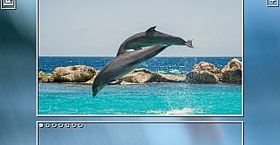 Super Jigsaw Puzzle: Generations - Sealife Puzzles