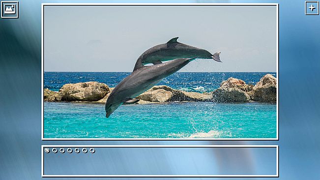 Super Jigsaw Puzzle: Generations - Sealife Puzzles
