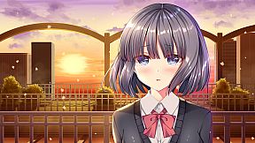 White Wings ホワイトウィングス