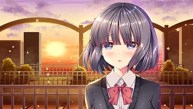 White Wings ホワイトウィングス