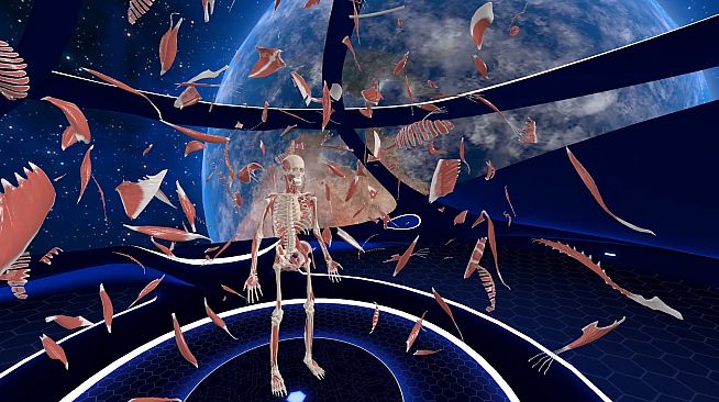 Elementary Anatomy: With Story Mode