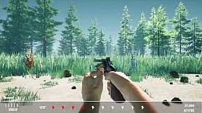 Duck Flight Simulator 2021