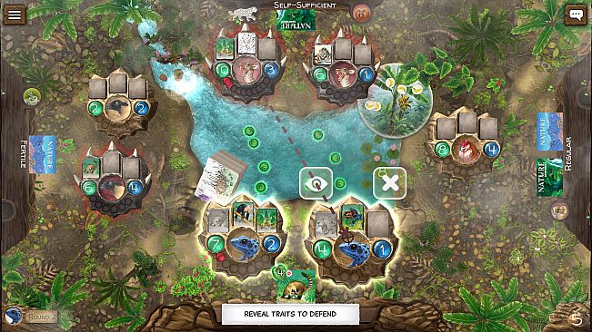 Nature Amazon Rainforest Module