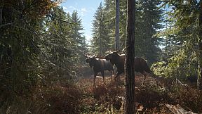 theHunter: Call of the Wild