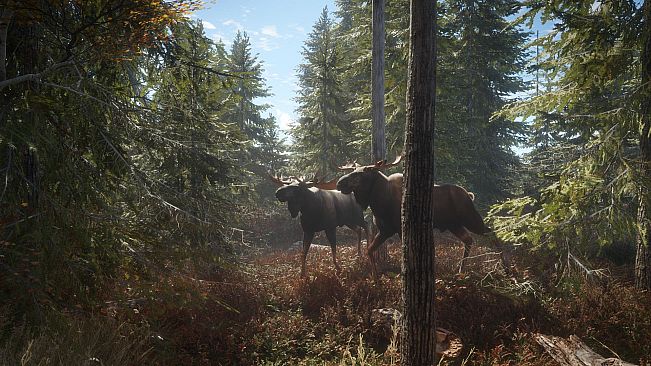 theHunter: Call of the Wild - Windows 10