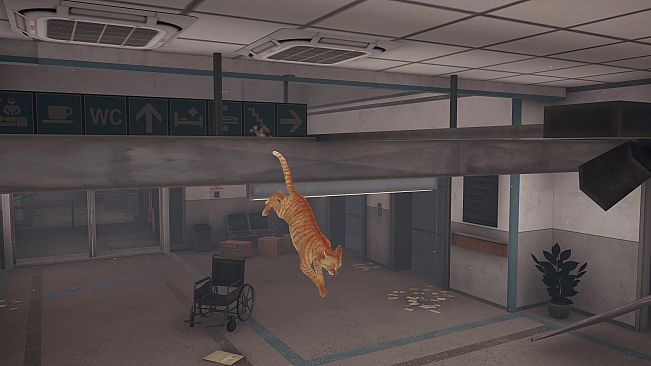 Little Strays 2: Cat Rescue