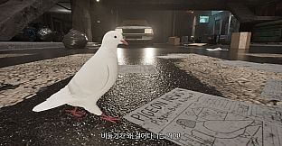 Pigeonhole Principle