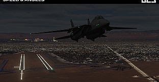 DCS: F-14B Speed and Angels Campaign