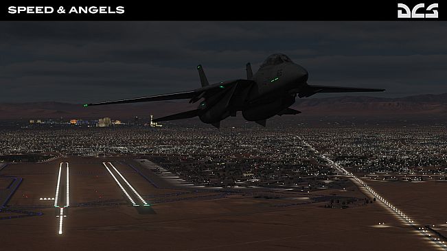 DCS: F-14B Speed and Angels Campaign