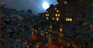 Dungeon Defenders Anniversary Pack