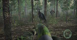 Pro Tukey Hunting