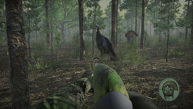 Pro Tukey Hunting