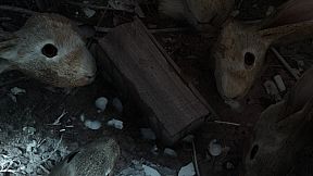 回门 Way Back Home