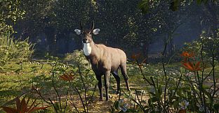 theHunter: Call of the Wild - Sundarpatan Nepal Hunting Reserve