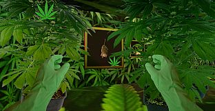 THE SOUL OF TOO BIRDS GAME