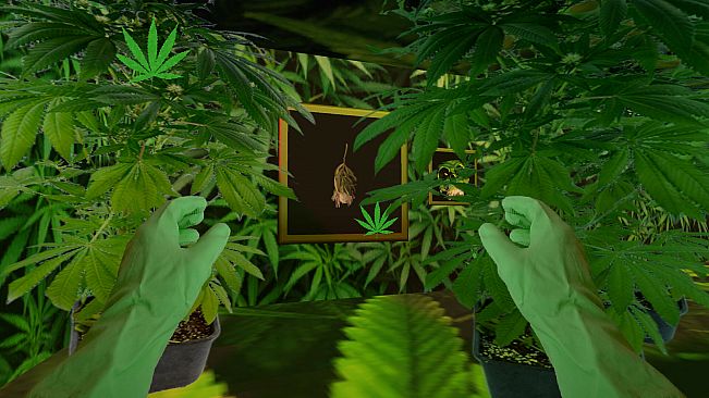 THE SOUL OF TOO BIRDS GAME