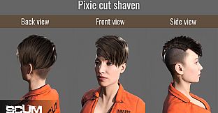 SCUM Female Hair Pack