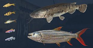 Ultimate Fishing Simulator - Kariba Dam DLC