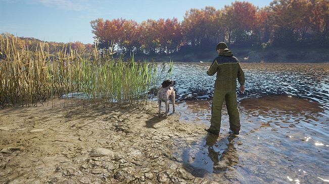 theHunter: Call of the Wild - German Shorthaired Pointer