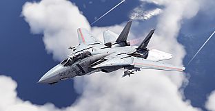 War Thunder - F-14D Bundle
