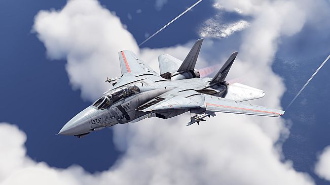 War Thunder - F-14D Bundle