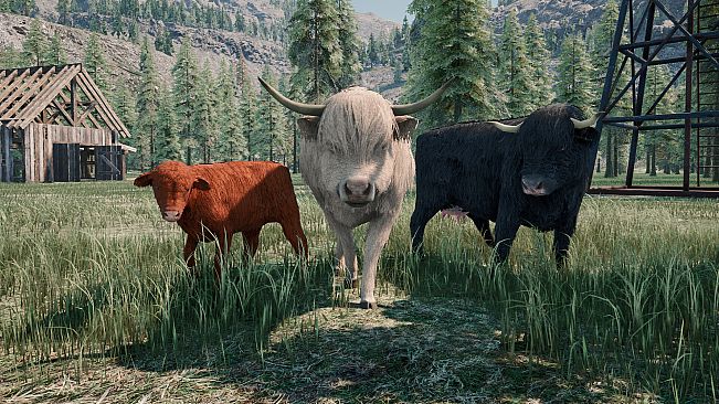 Ranch Simulator: Highland Cows Pack - Build, Farm, Hunt
