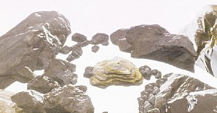 99 Cracks: The Winter Fix