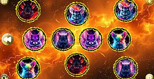 Space Memory: Chinchillas