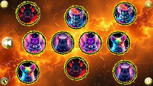 Space Memory: Chinchillas