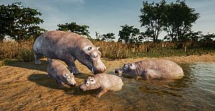 Animalia New African Skins