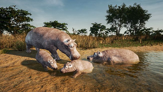 Animalia New African Skins