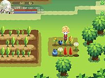 亚利利亚的精灵们 ALILIA