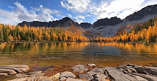 Real VR Fishing I US WEST COAST DLC