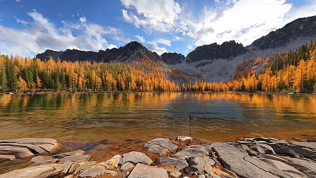 Real VR Fishing I US WEST COAST DLC