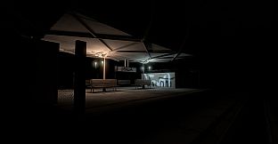 A Large Quantity Of Mushrooms